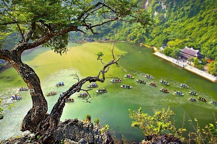 Ninh Binh - Bai Dinh Pagoda - Trang An Landscape Complex - Mua cave 1 Day Tour