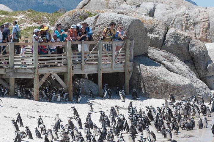 Cape Point Sightseeing Tour including Cape of Good Hope full day from Cape Town