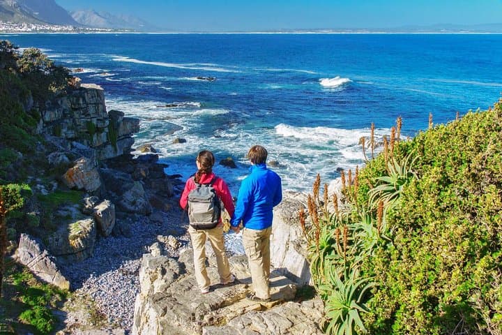 Hermanus Whale Watching Day Trip from Cape Town