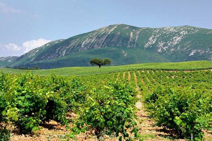 Hiking tour to the highest point of Arrábida mountain