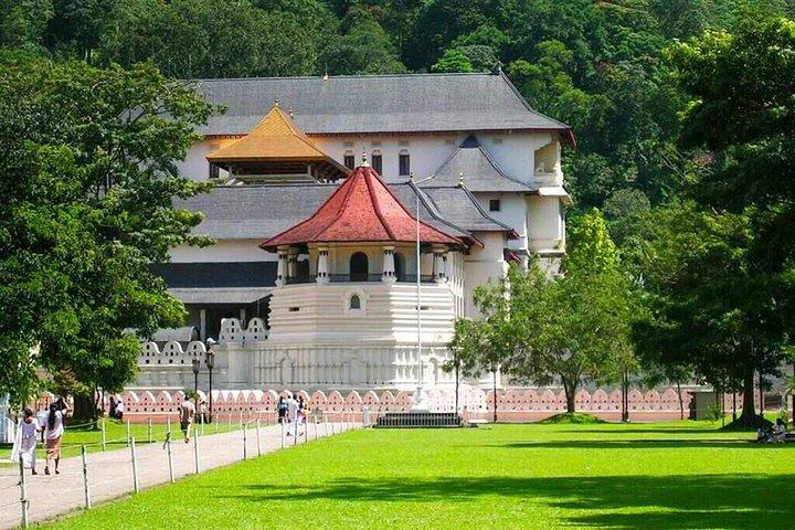 Private Kandy Day Tour from Colombo