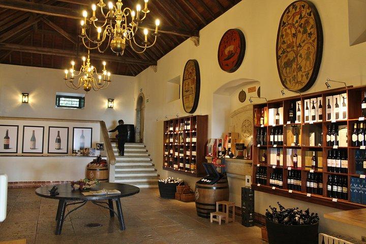 Private Wine Tasting in the Setúbal Wine Region, from Lisbon