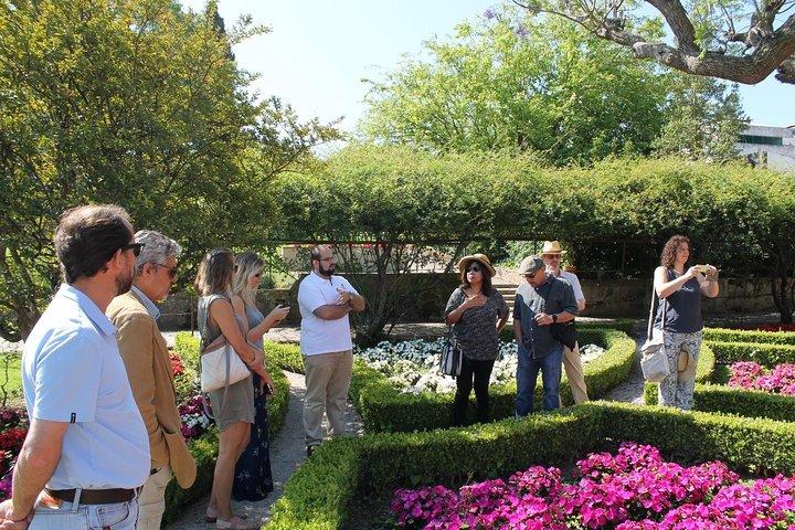 Private Wine Tasting in the Setúbal Wine Region, from Lisbon