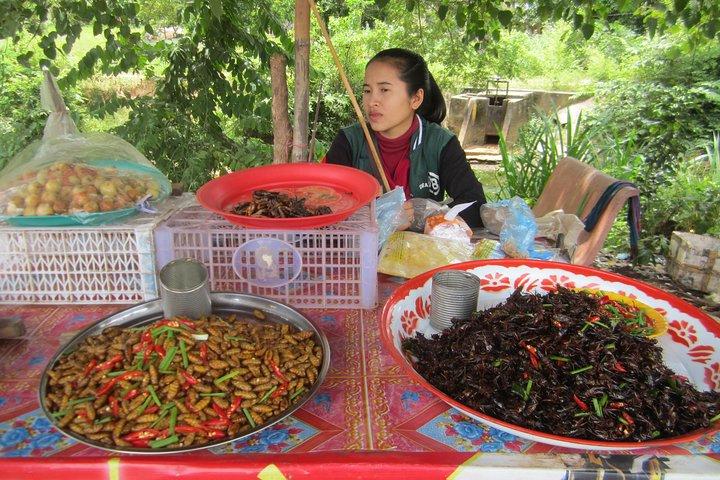 Half Day Floating Village ( Mechrey) & Tole Sap Tour