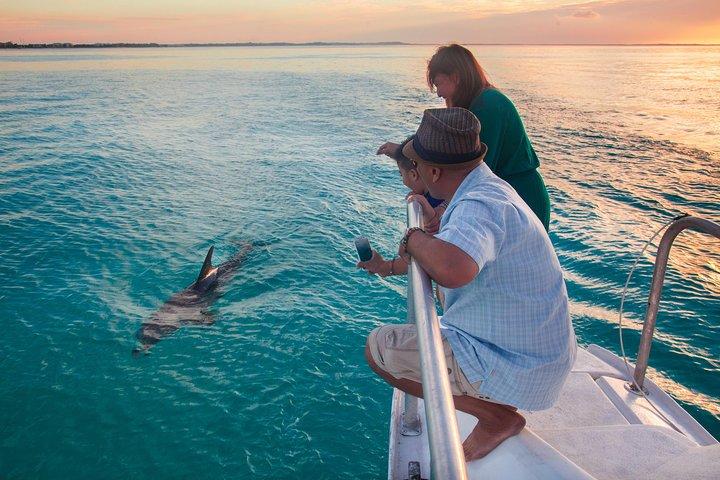 3 hour Glow Worm Sunset Cruise from Providenciales