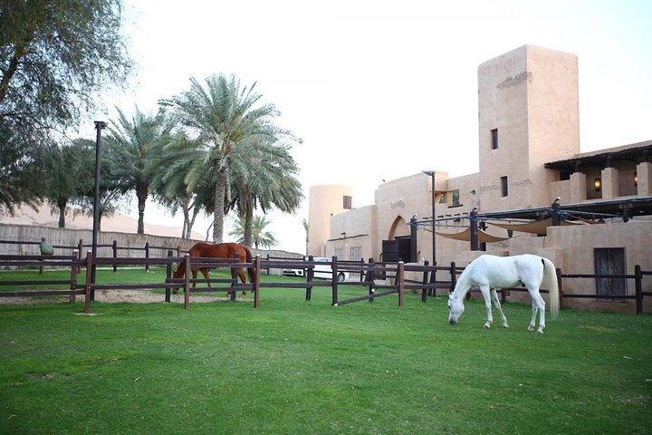 Horseback Riding in Dubai Desert with Transfers