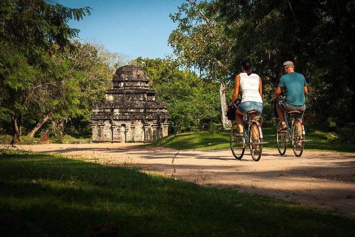 Day Excursion To Ancient City Polonnaruwa