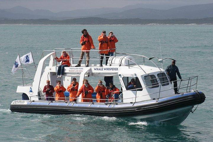 Marine Big 5 Safari full day trip from Cape Town
