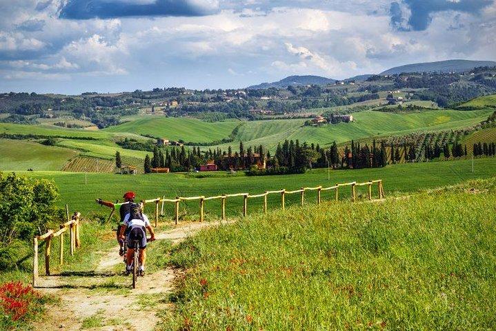 Private E-bike Tour in Chianti from Florence