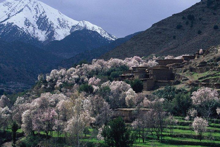 Private Ourika Valley Guided Day Trip from Marrakech