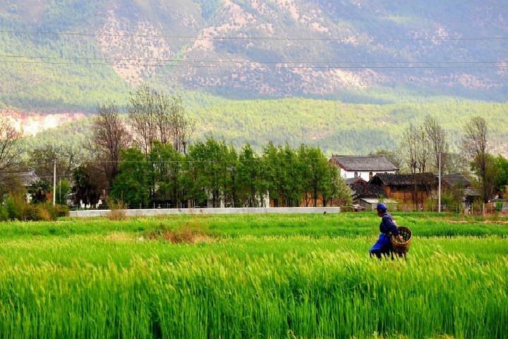 Private Tour: Jade Dragon Village and Baisha Village via Bicycle