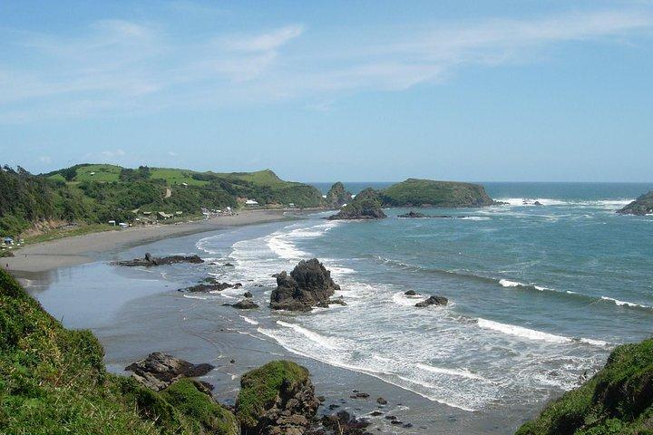 Puerto Montt: Full day Chiloe Island visiting Penguins in Puñihuil