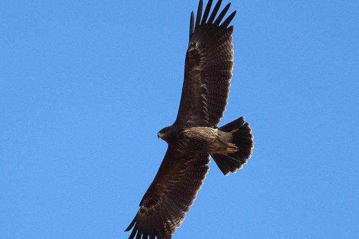 Private Birdwatching and Cultural Heritage Tour from Varna