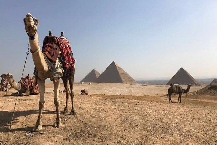 Giza Pyramids Half Day Private Tour with Camel Ride