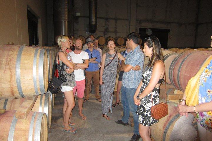 Private Wine Tour with Wine Tasting and Full Lunch (day trip)