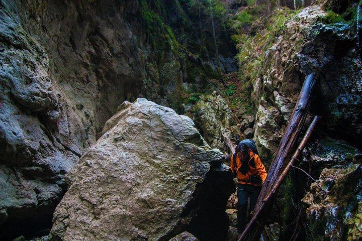 Adventure day trip from Iasi | Hiking in the Carpathian Mountains
