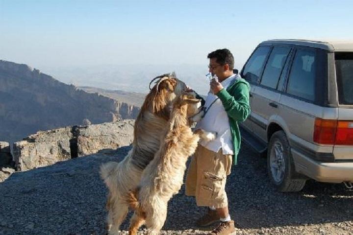 Jebel Shams Day Trip: The Grand Canyon of Oman