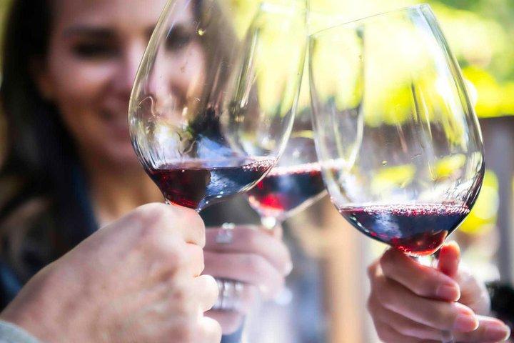 Evora & Alentejo Wines: A Journey Through History and Flavors
