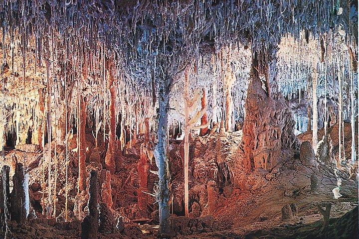 Palma de Mallorca Half-Day to Caves of Hams, Blue Cave and film