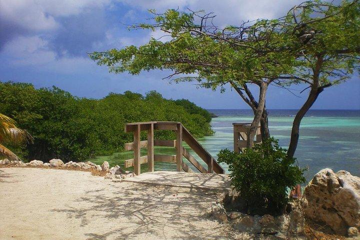 Aruba Mangel Halto and Baby Beach Snorkeling Guided Tour