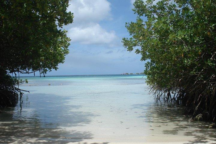 Aruba Mangel Halto and Baby Beach Snorkeling Guided Tour