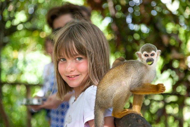 Monkeyland and Plantation Safari from La Romana