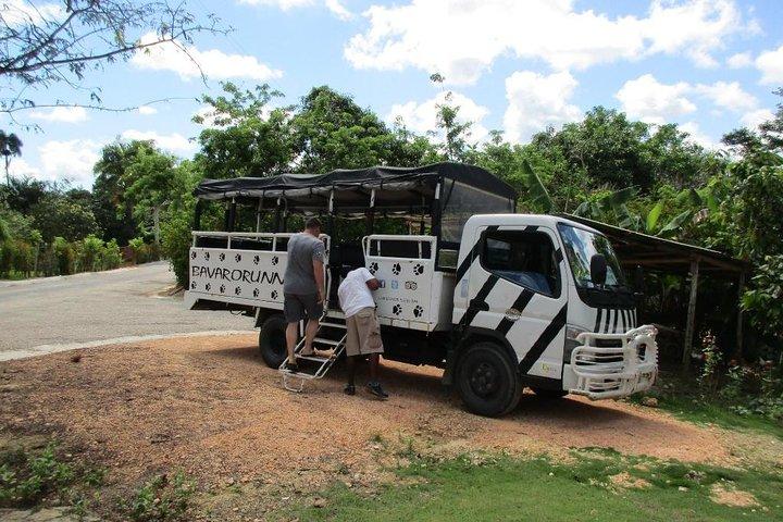 Monkeyland and Plantation Safari from La Romana