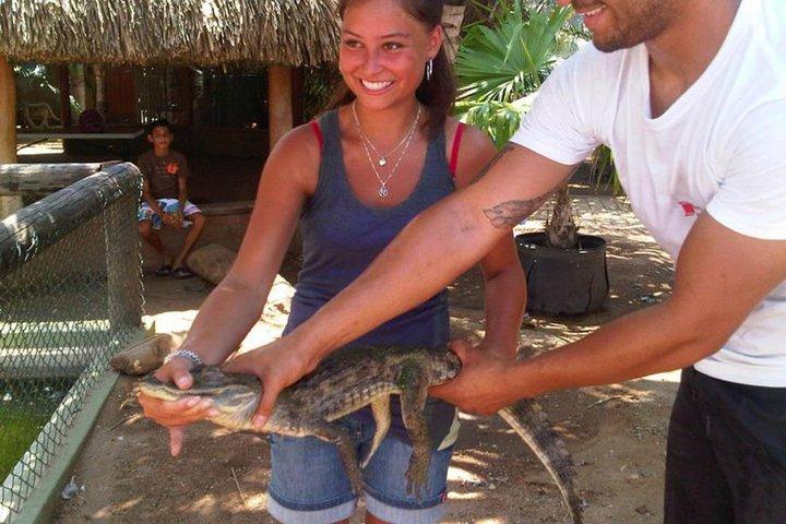 Half-Day Aruba Animal Sanctuary Guided Tour