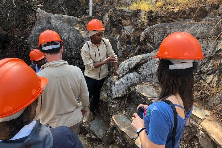 Cradle of Humankind Tour with Lion Safari from Johannesburg