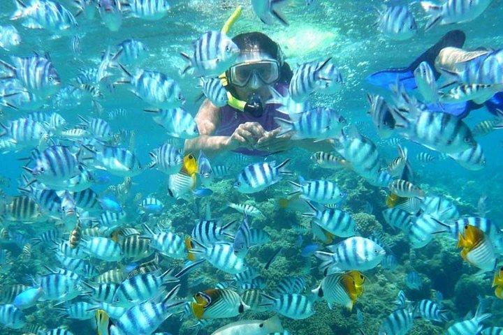 Bloo Lagoon Snorkeling East Bali Includes Transportation & Lunch