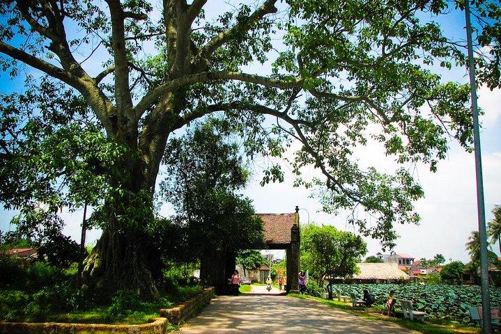 Instagram Tour Duong Lam Ancient Village with Train Street Visit