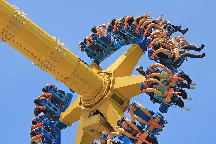 Dream World Bangkok with Round Trip Shared Transfer