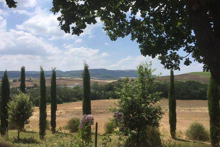 Exclusive Private Tuscany Wine Tour & Food Pairing Session