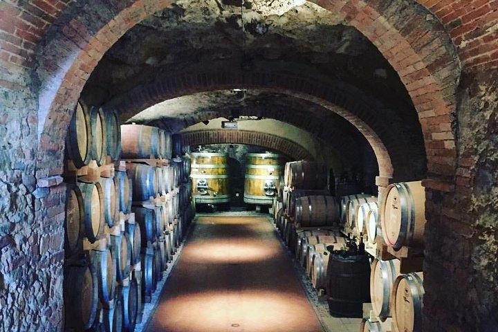 Exclusive Private Tuscany Wine Tour & Food Pairing Session