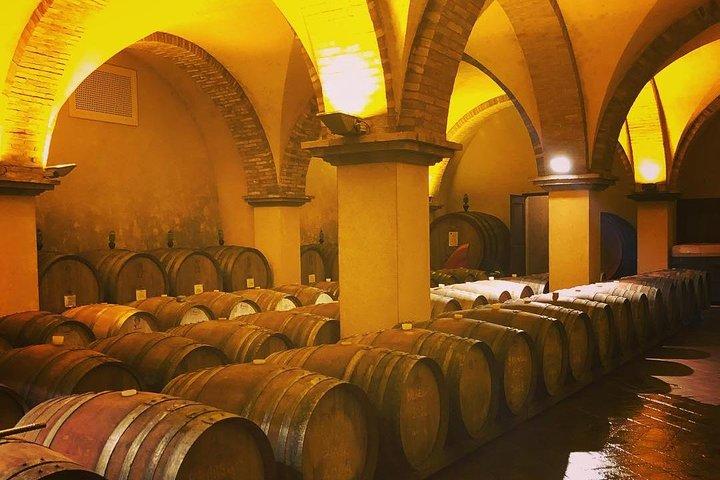 Exclusive Private Tuscany Wine Tour & Food Pairing Session