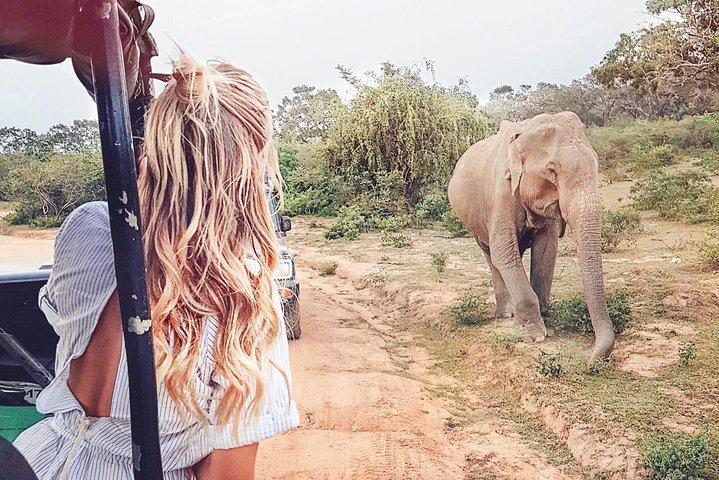 Wild Safari Udawalawe from Mount Lavinia