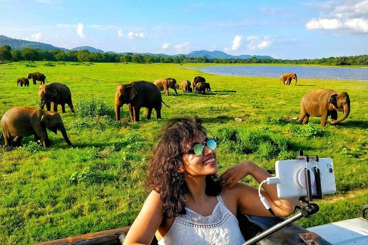 4 Day Tour to Kandy Nuwara Eliya Ella & udawalawe safari from Colombo