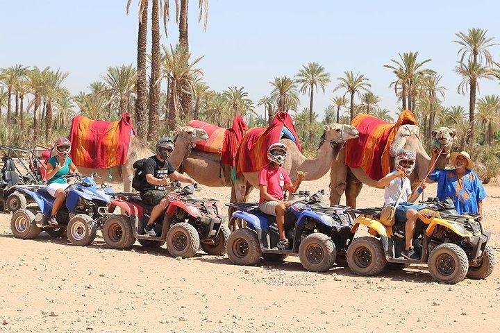 Camel Ride and Quad Bike in Palmeraie