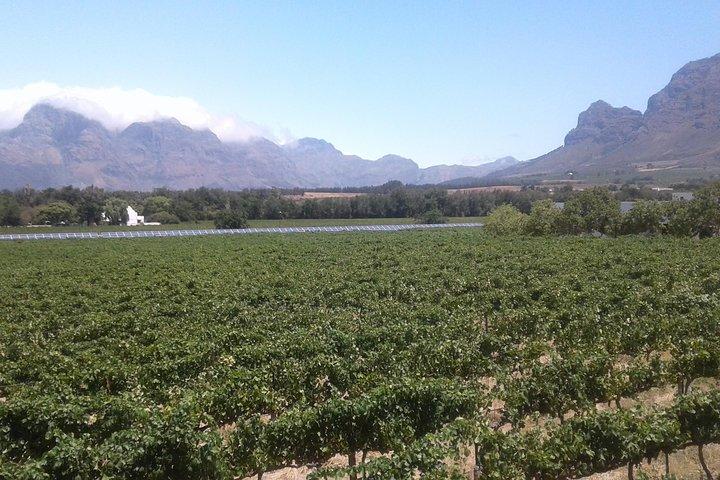 Private Stellenbosch, Franschhoek Paarl Wine Tour from Cape Town