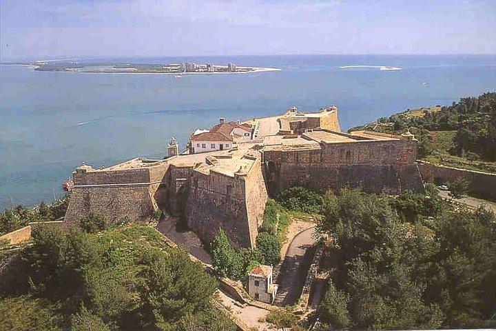 Private Tour: Half-Day visiting Setúbal Winery and Lunch Grill Fish at Sessimbra