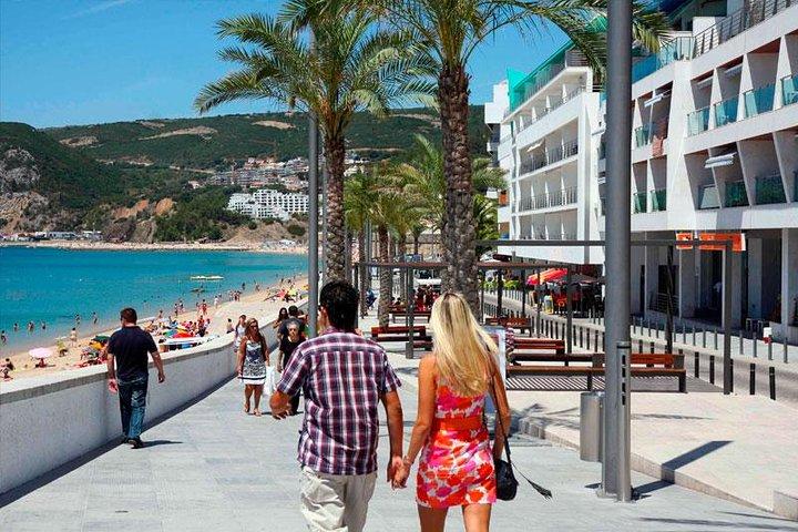 Private Tour: Half-Day visiting Setúbal Winery and Lunch Grill Fish at Sessimbra