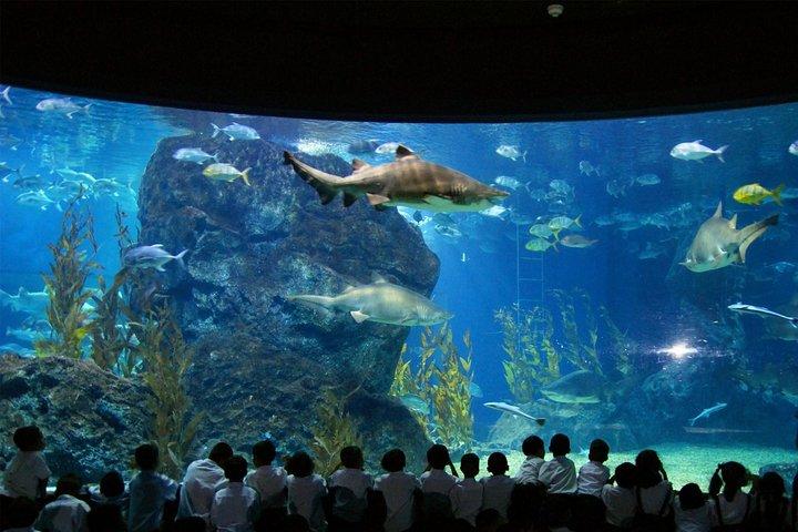SEA LIFE & Madame Tussauds: Ultimate Bangkok Combo Ticket