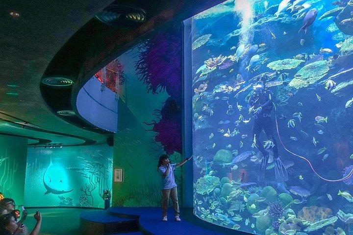 SEA LIFE Bangkok Ocean World Admission with Private Transfer