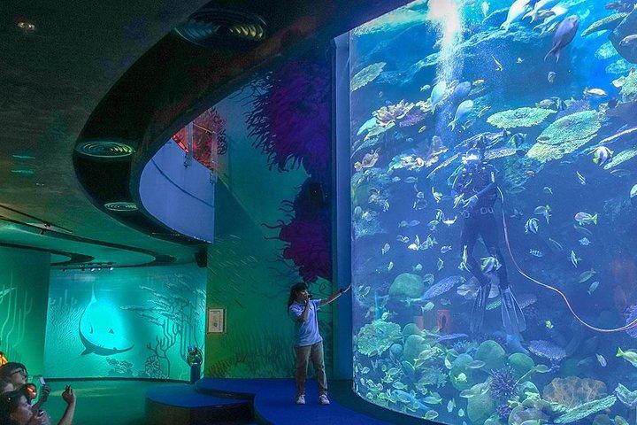 Bangkok SEA LIFE & Madame Tussauds Combo with Hotel Transfers