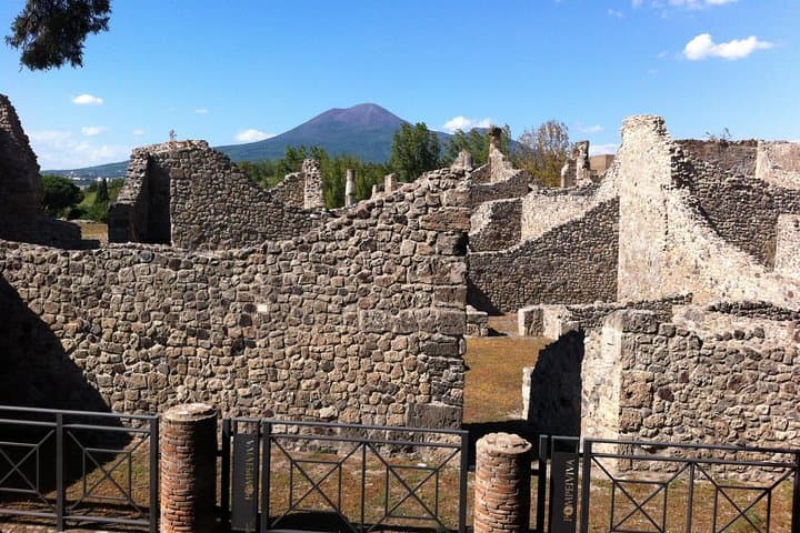 Pompeii & Herculaneum Private Full Day Trip From Naples