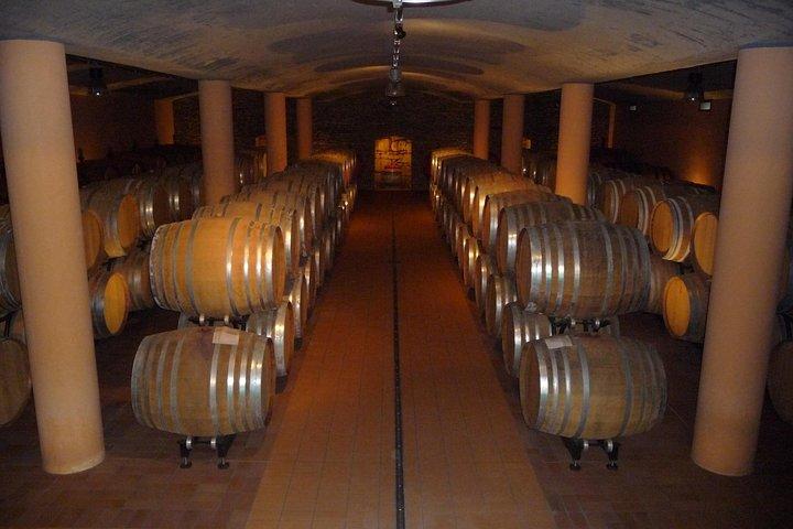 Pienza, Montalcino, Brunello Wine and Pecorino Cheese PRIVATE TOUR from FLORENCE