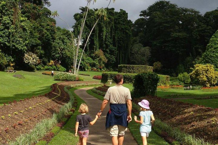 Private Kandy Day Tour from Colombo