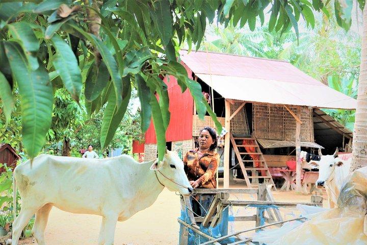 Tonle Sap Lake - Fishing Village & Flooded Forest