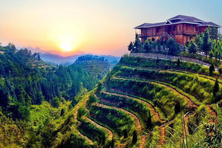 Private Day Tour: Anxi Tea Garden And Hongen Rock From Xiamen