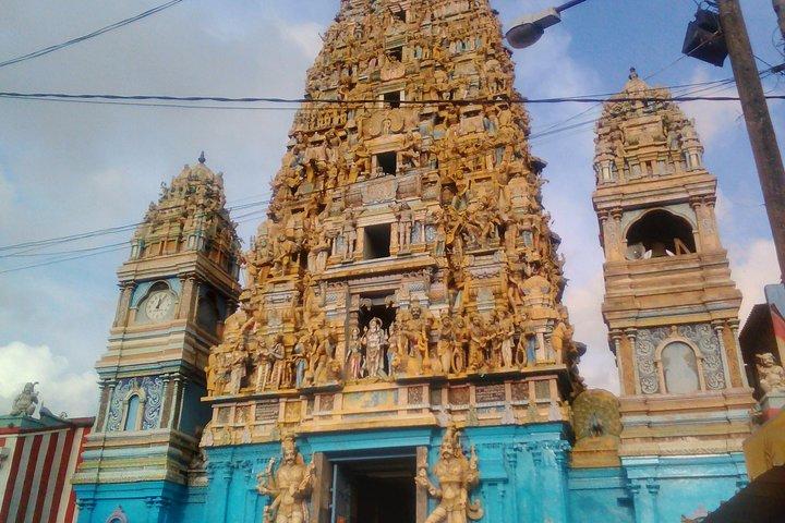 Privet Full-day Sightseeing Tour of Colombo